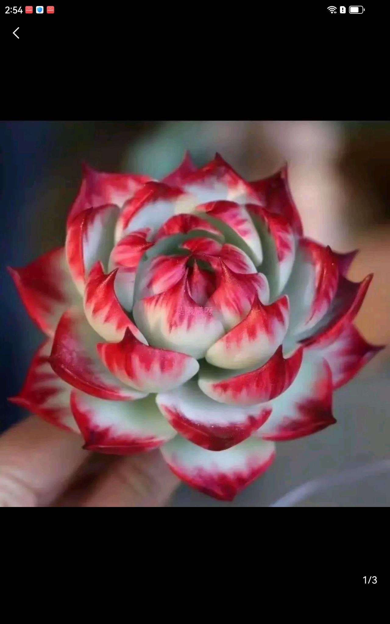 该空的时候就空，不该空的时候做不空，永远记得低买就可以了，从22年成熟后，满仓再