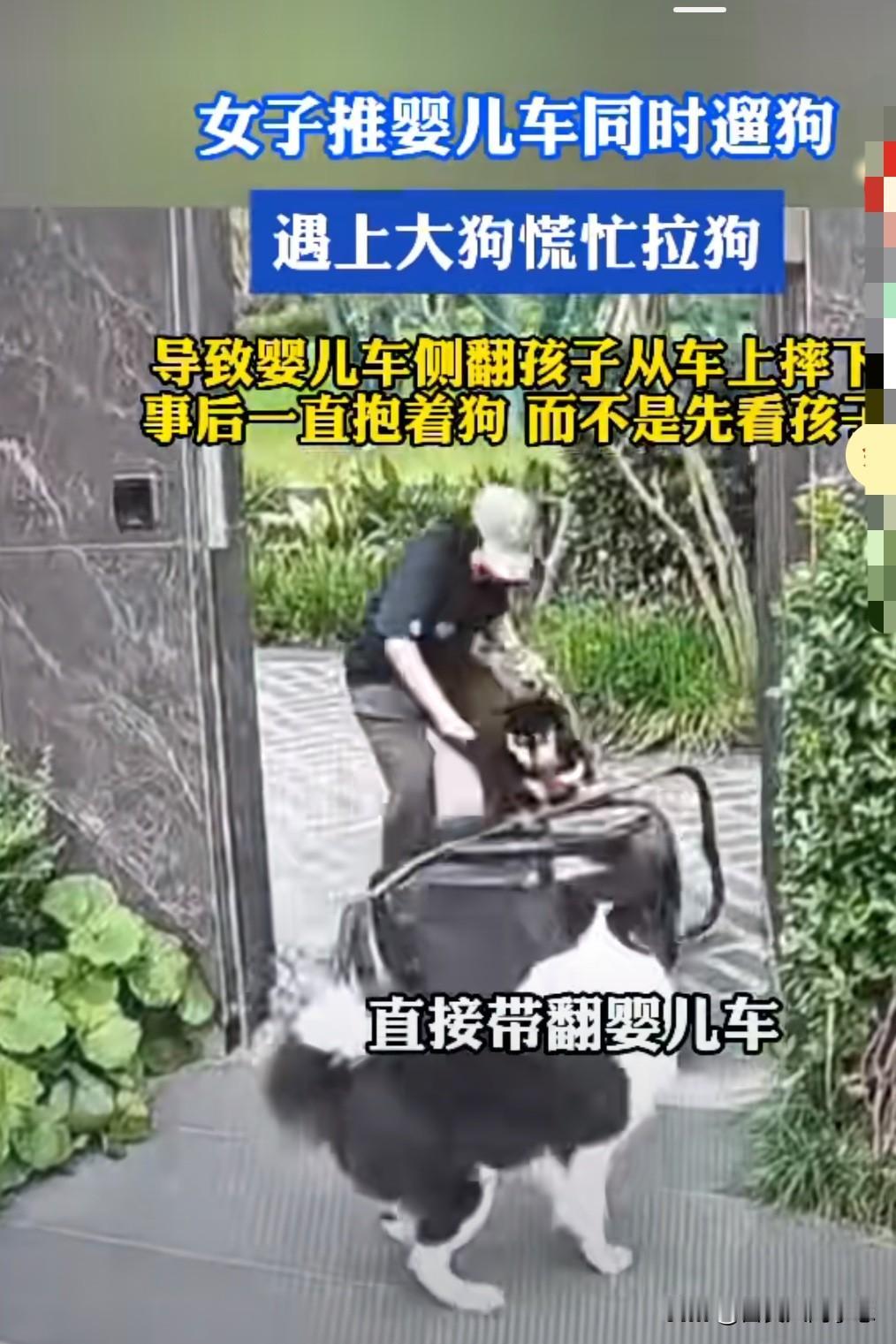 难道狗比孩子还重要吗？让人很不理解，第一反应不是应该先抱孩子吗？

一位妈妈推着