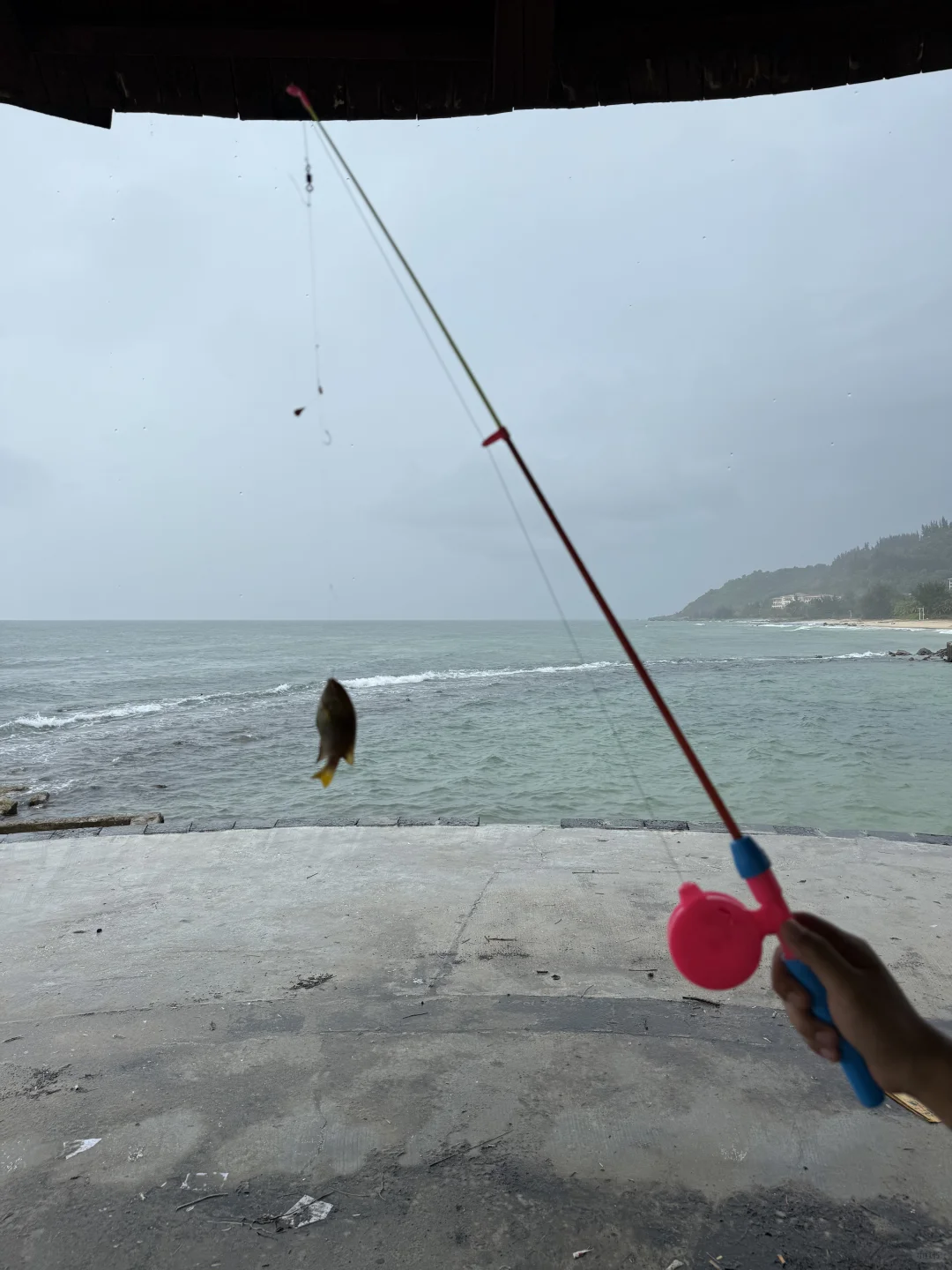 陵水-小孩风筝改造钓鱼竿🎣