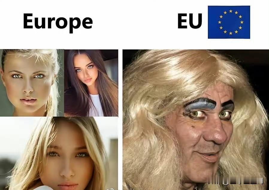 马斯克昨天继续讽刺冯德莱恩，“左边的是欧洲，右边的欧盟，但布鲁塞尔却说这是同一张