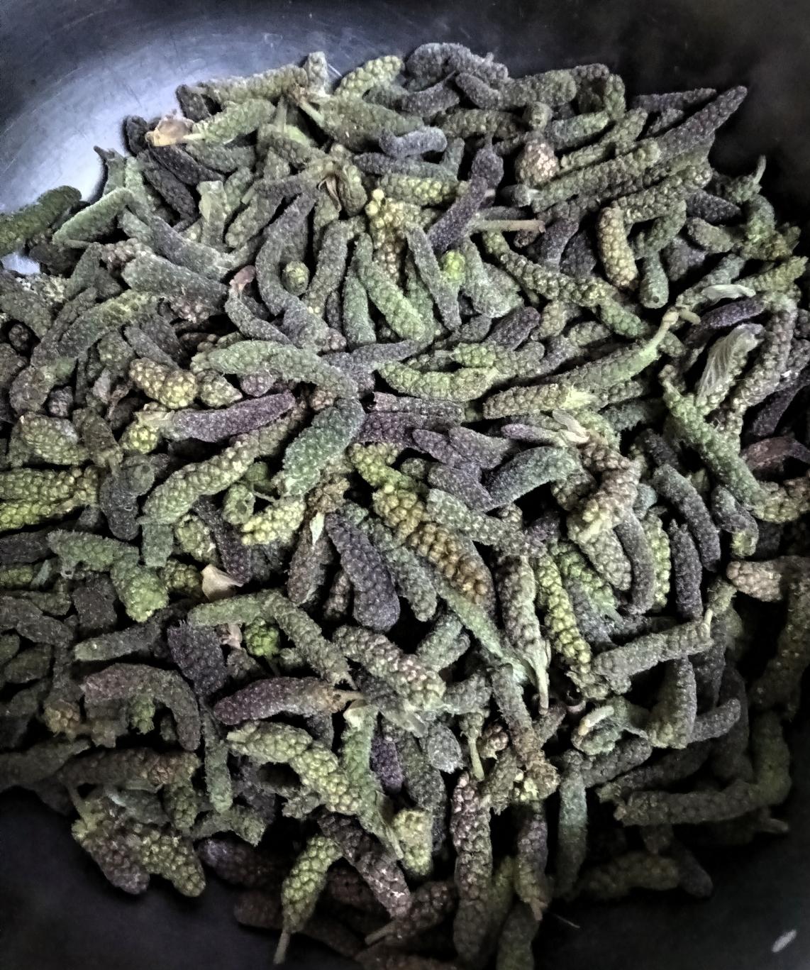 春日限定美味！这盆“小棒槌”香到舔盘！
 
家人们快看，这盆绿油油的就是狗棒槌，