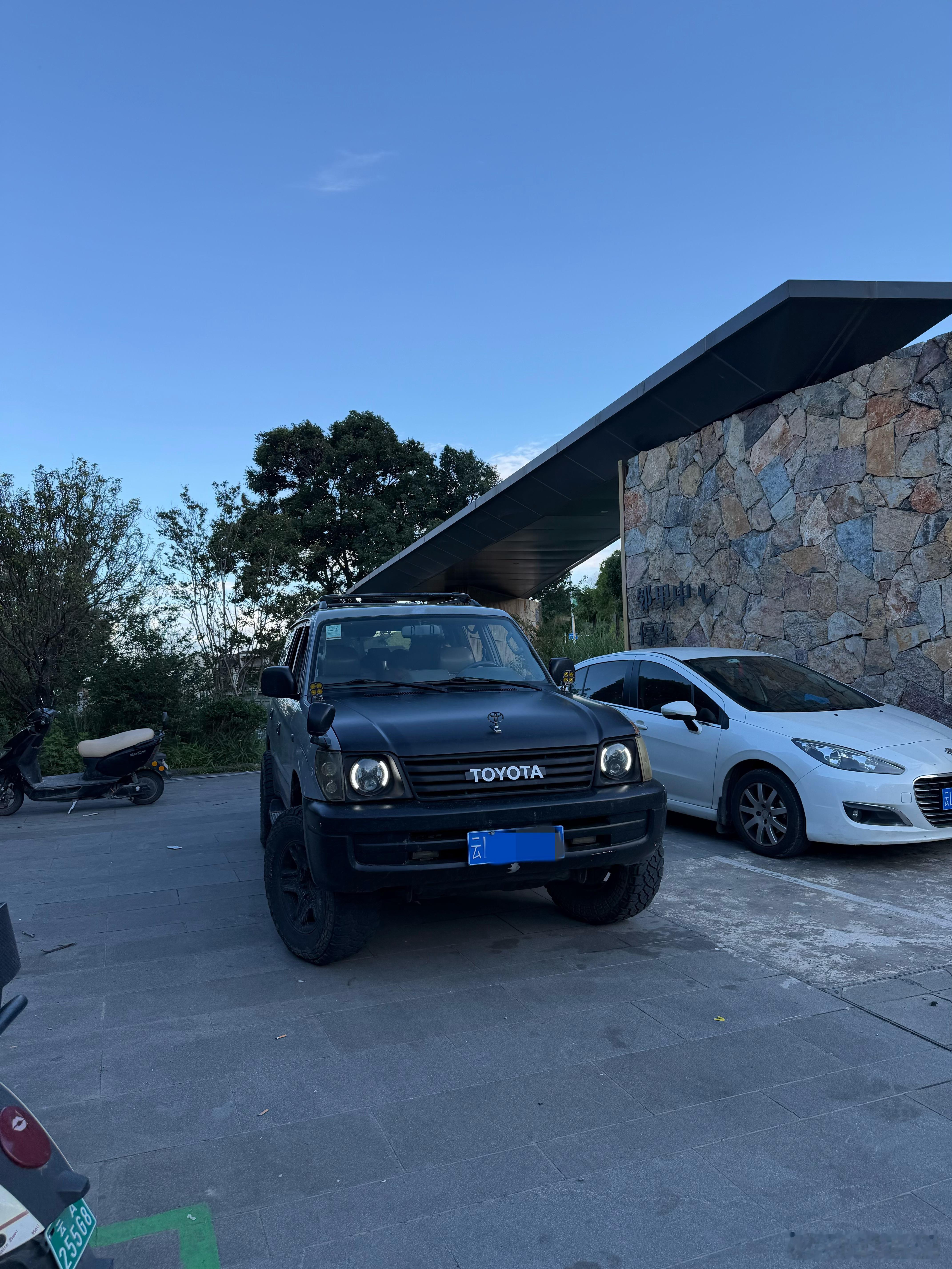 好家伙，媳妇带娃放暑假去大理参加个夏令营（小朋友一起爬树、搭帐篷、点火、抓虫子那