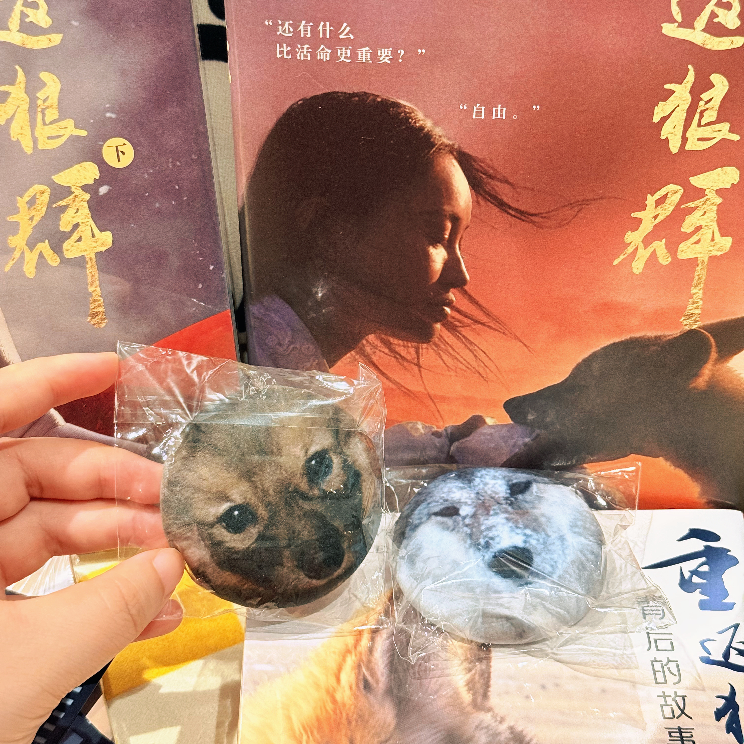 “重返狼群”终于等到书啦！我将永久保存小格林～ 