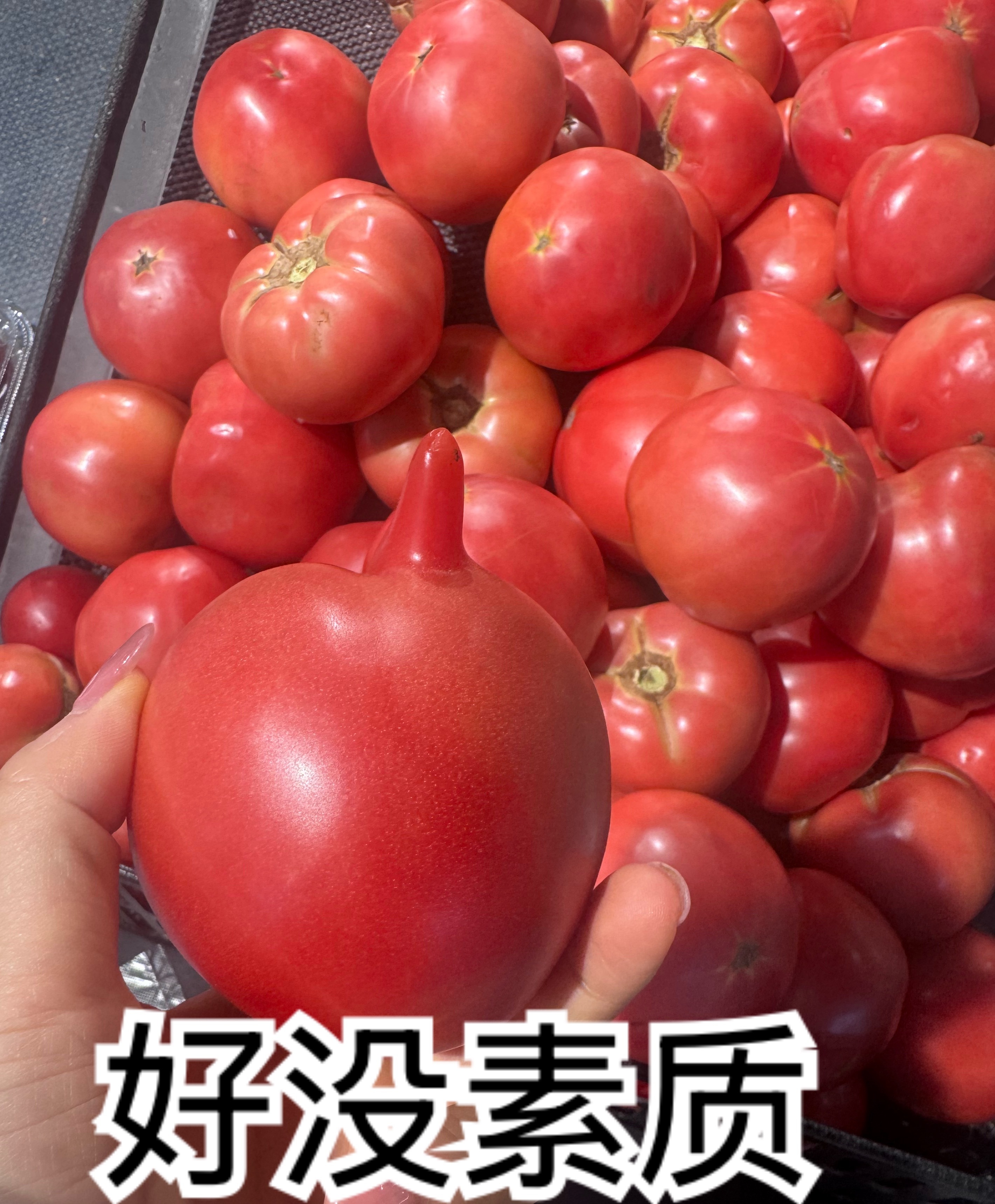 碧莲的流水账日记 回家三天 小肚子已拔地而起 