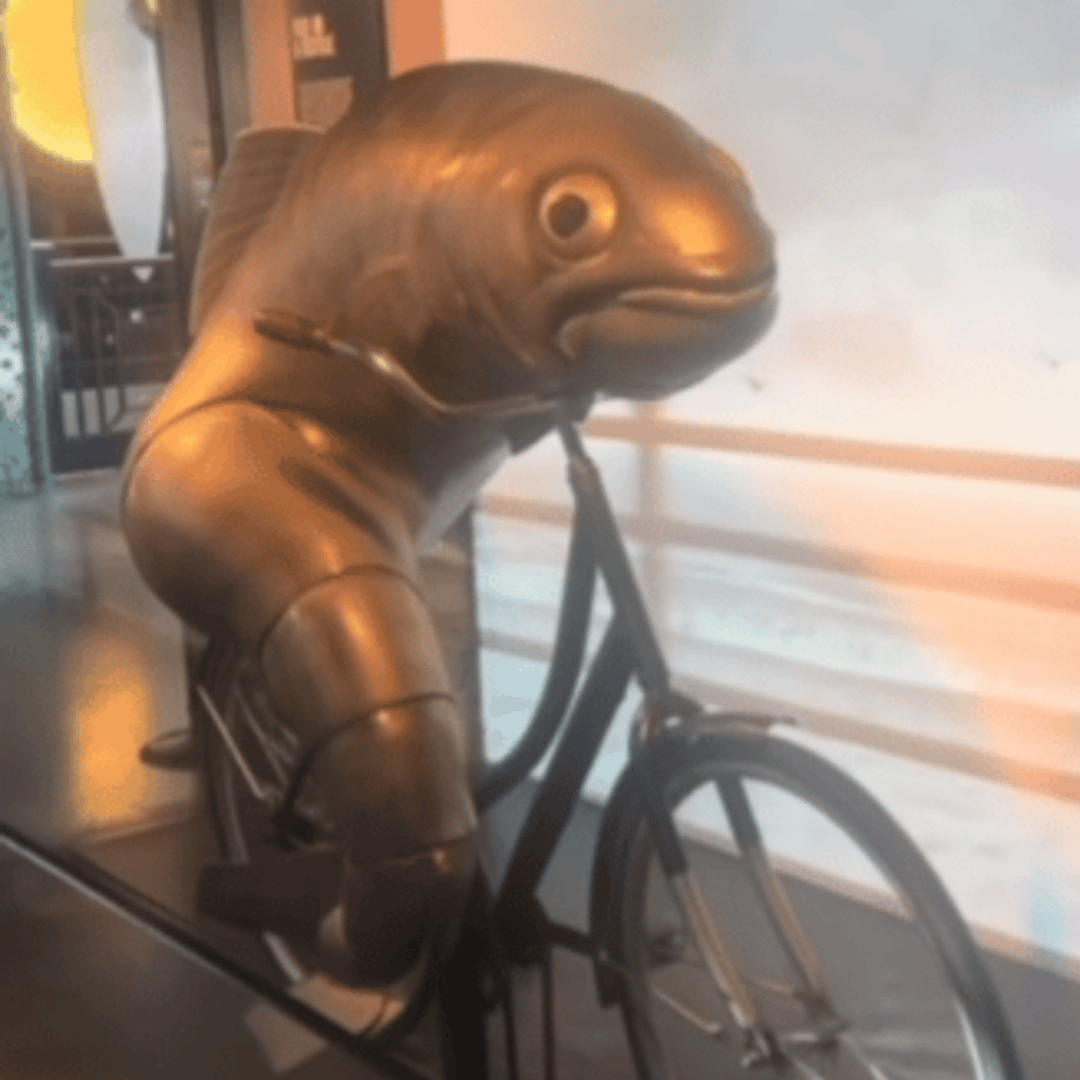 d社刚刚发了这个表情包 