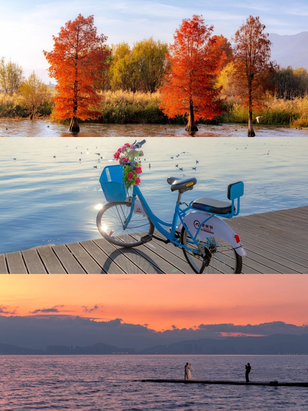 谢之遥对许红豆表白的地方，也太浪漫了！