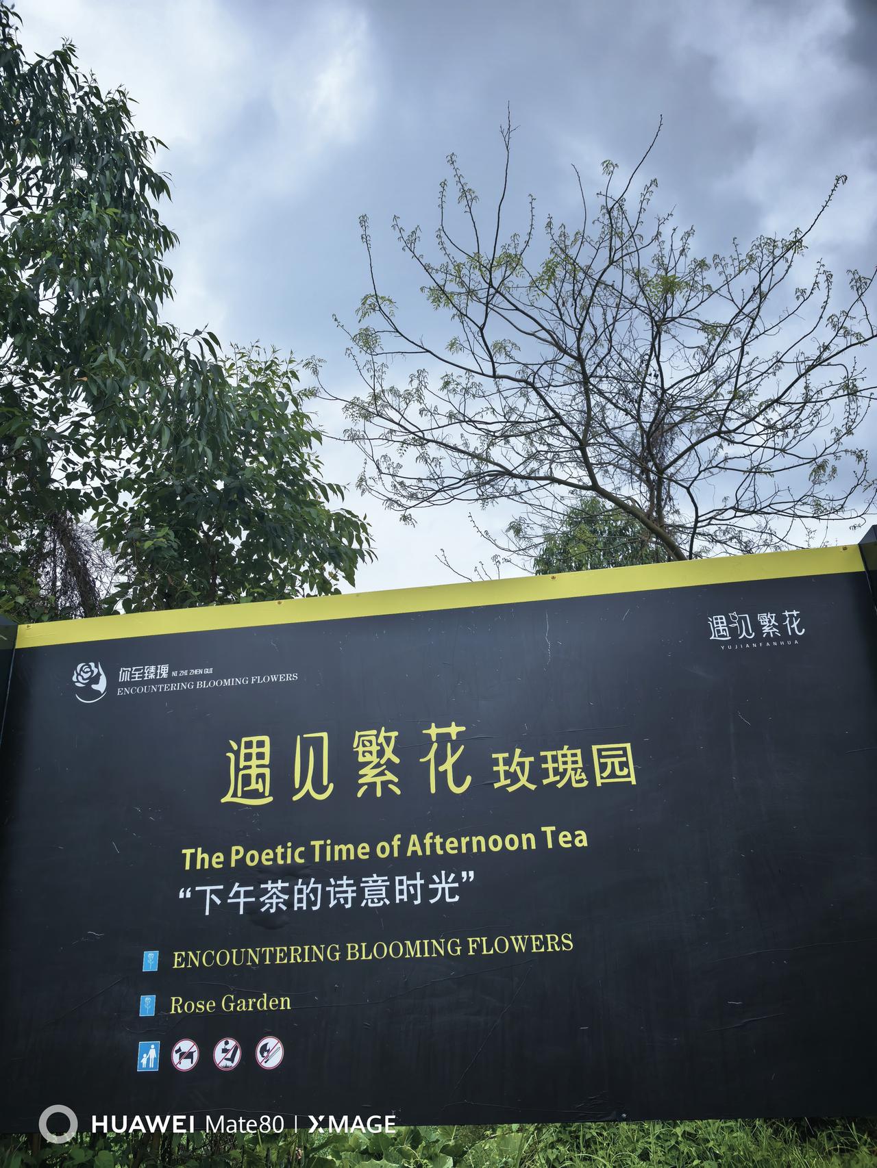 在肇庆莲塘落高速，搜索附近有无特色好玩的，搜到了遇见繁花玫瑰园，大约六公里，就开