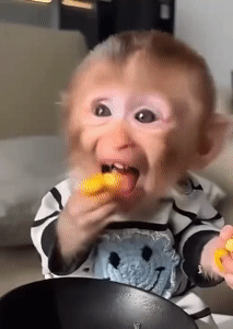 慈禧签了700+条约，姐只收到八份声明，值了iamroosieiamroosie