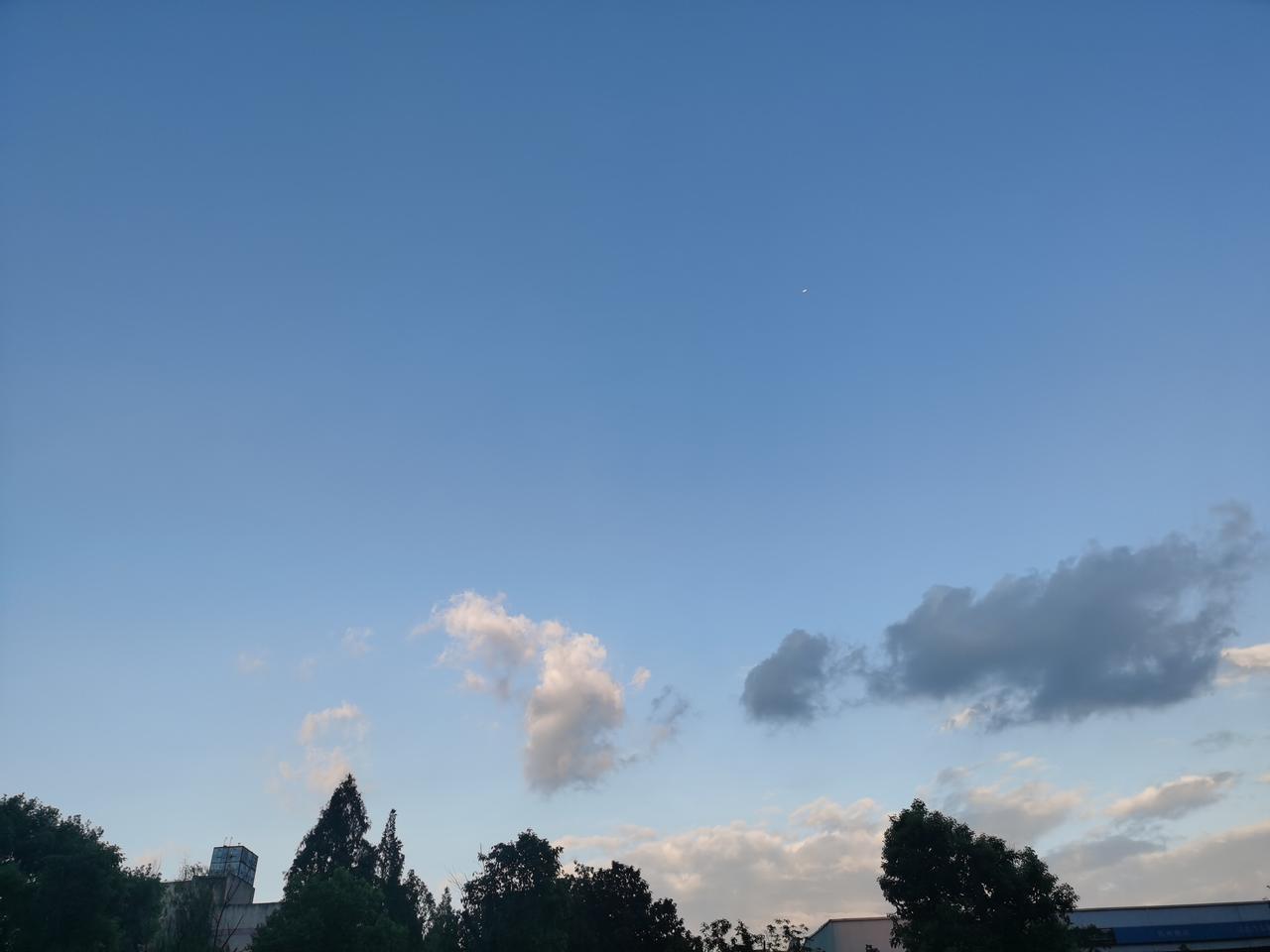 之前卡秤卡到怀疑人生，每天吃减脂餐跑3公里，体重连2两浮动都没有，早上起来脸肿得