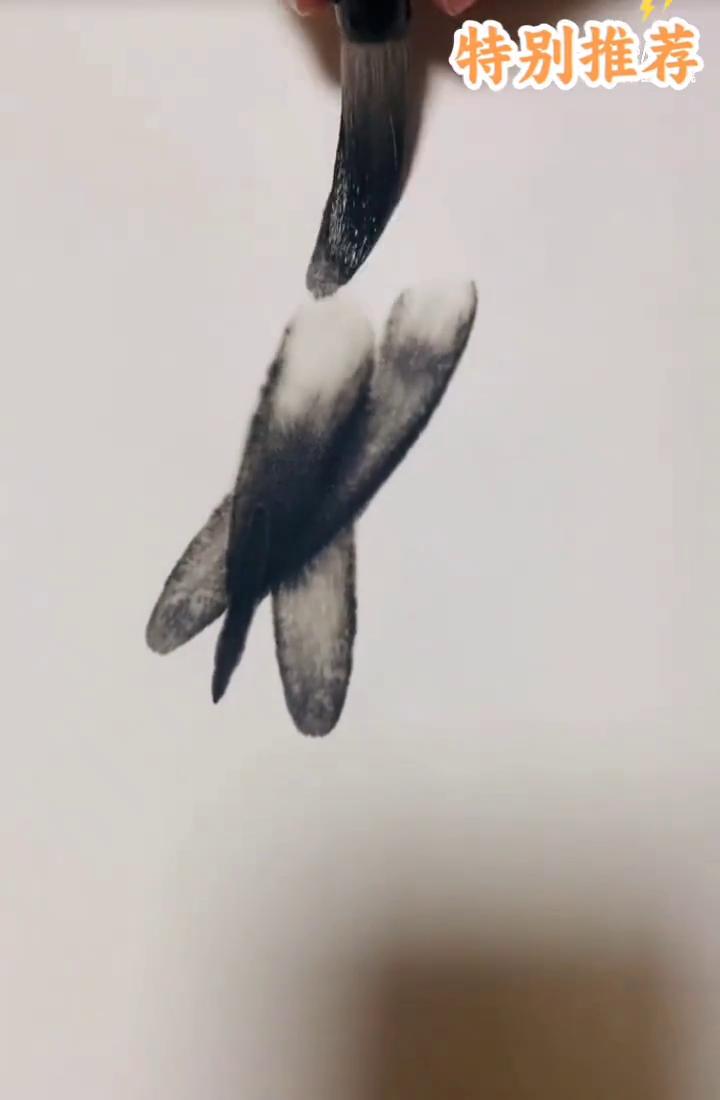 特别推荐：没骨虾绘画示范。