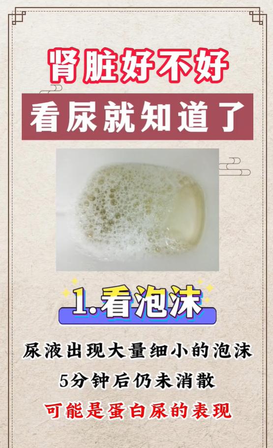 夜里总起夜、小便氨味重，是肾脏排毒变差的信号