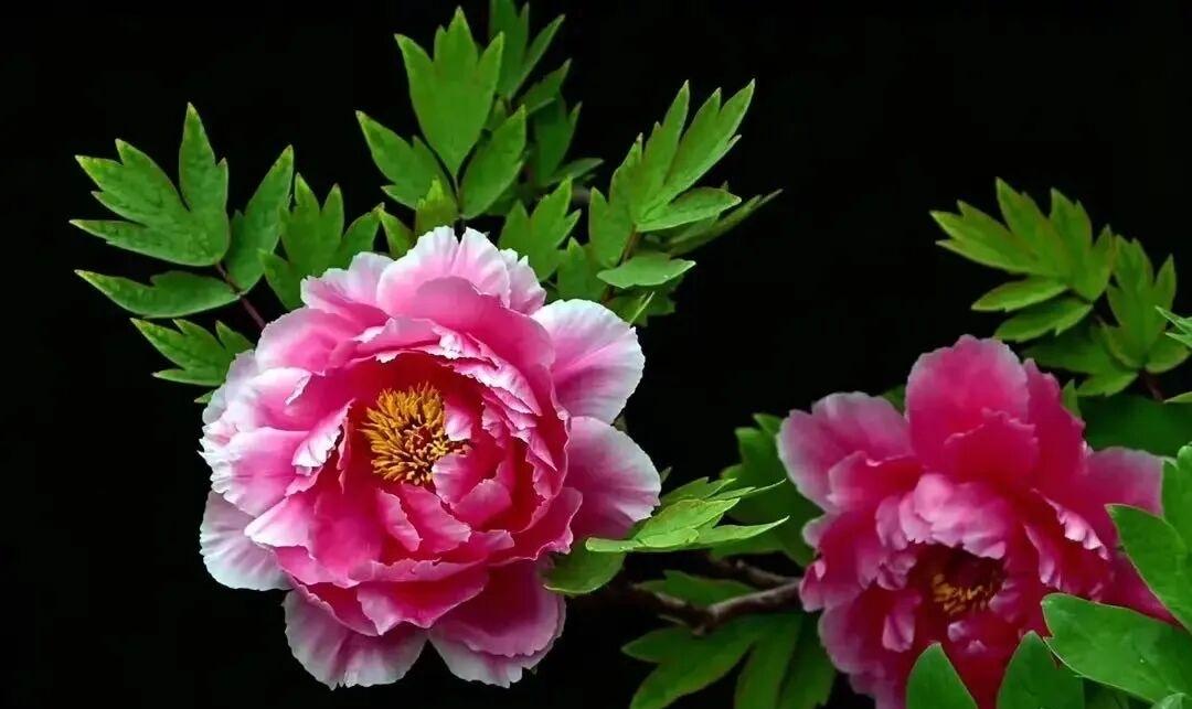 逢人不说人间事，便是人间无事人。—— 杜荀鹤《赠质上人》