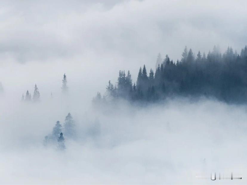 快来看看我新换的主页背景吧