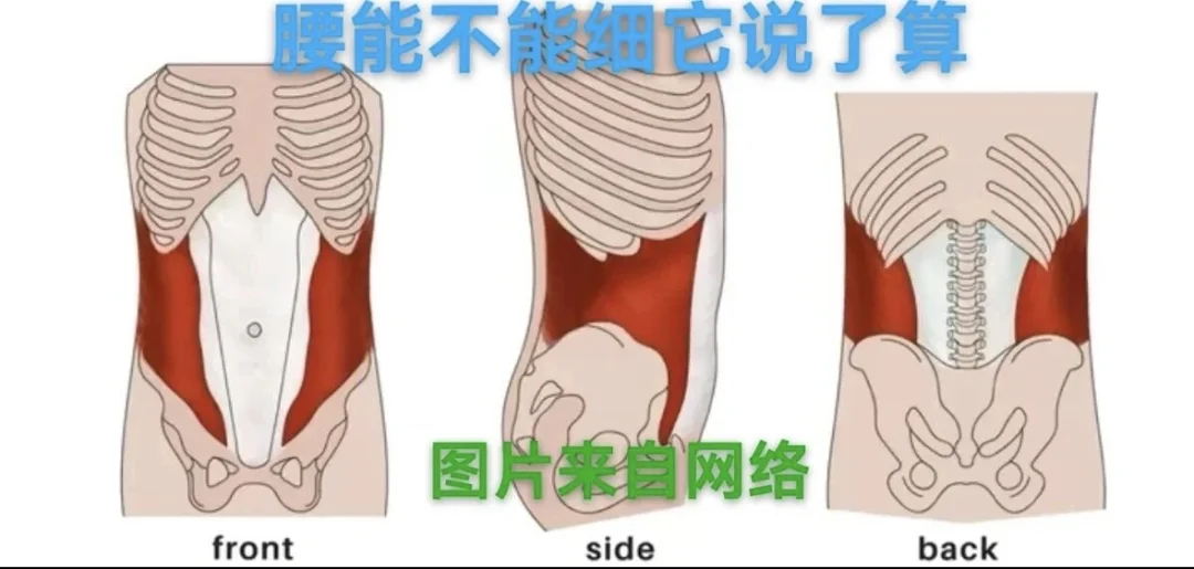 别在带塑腰了，我们自己天生自带，激活它