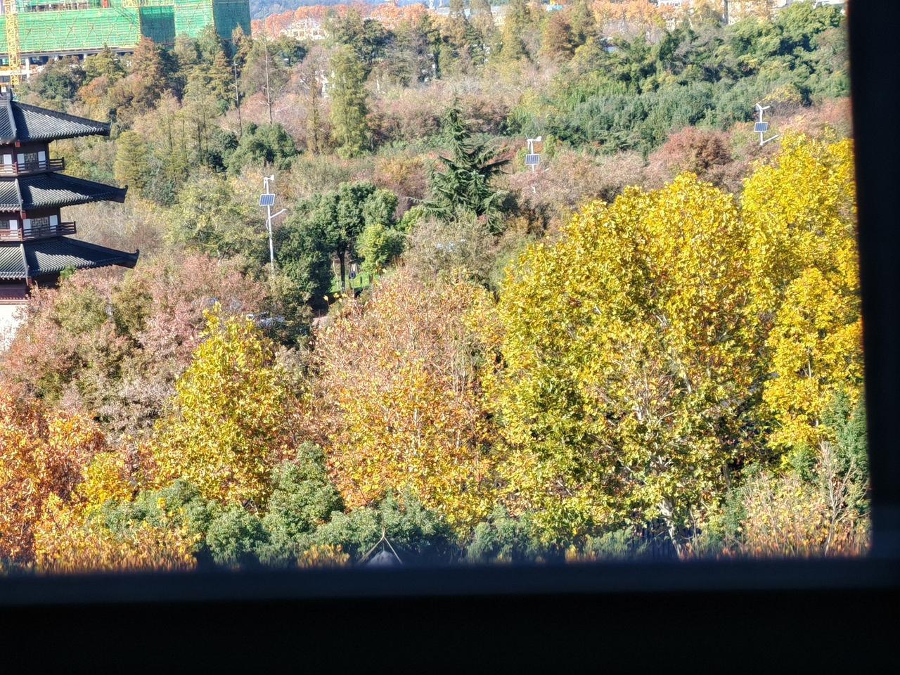 不过气温还是很低，毕竟是冬天了。