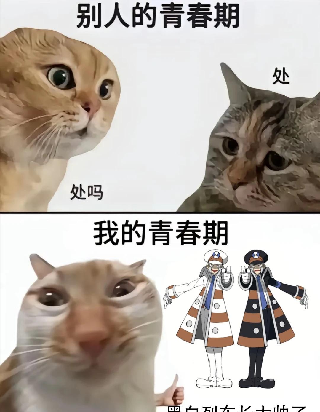 笑而P之
然後。額。大概就是。黑白列車長。牛逼克拉斯。
原圖p2
梗图 宝可梦 