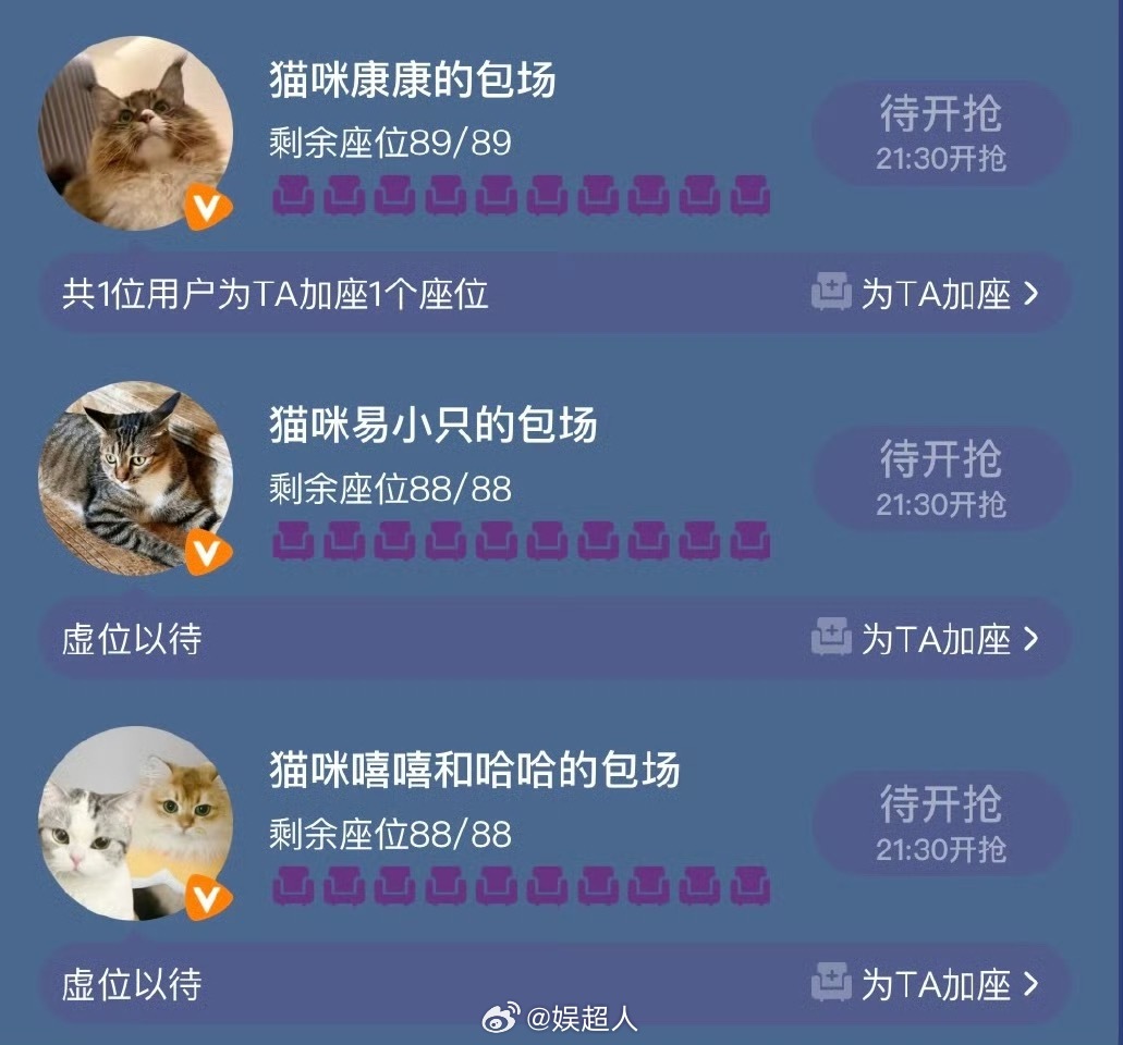 猫咪包场子夜归 好多猫咪包场子夜归，田曦薇的康康、易大千的易小只以及鞠婧祎的嘻嘻