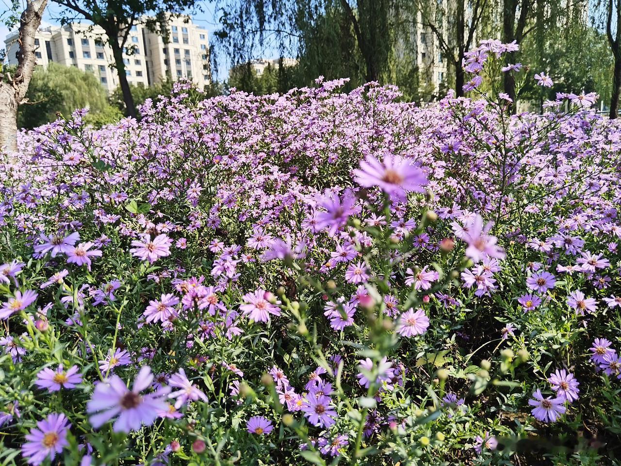 “反者道之动，弱者道之用”，在此“反”至少有三层意思叠在一起：
一指，相反、对立