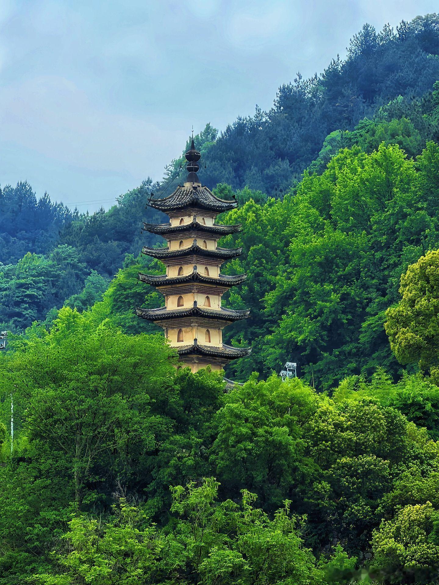 向下扎根，才能向上生长。早安，每一个你！早安心语早安早安