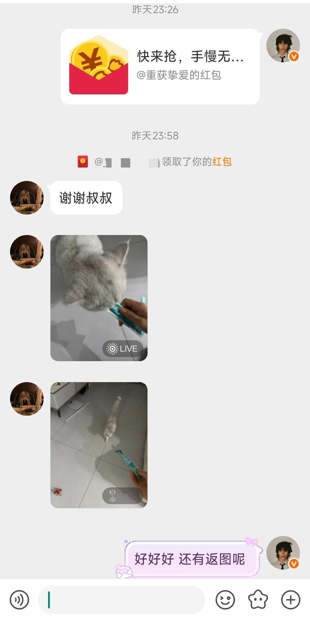 也是云养上猫儿子了