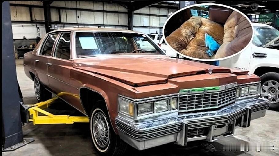 1977 年款凯迪拉克 Sedan DeVille 在《绝命毒师》拍摄结束后几经