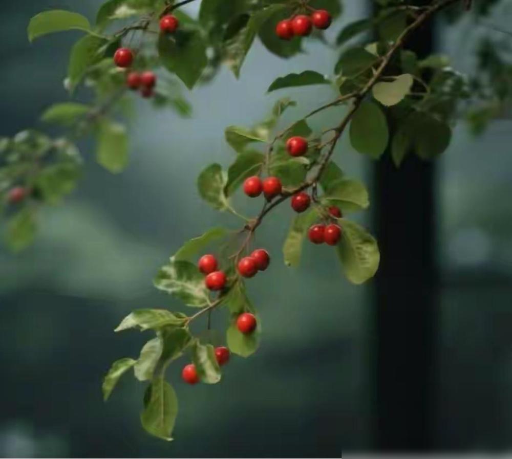 毁掉一个孩子最快的方式：就是爷爷奶奶经常问的这3件事！

我家前两年真结结实实踩
