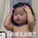鸽球说说科技
