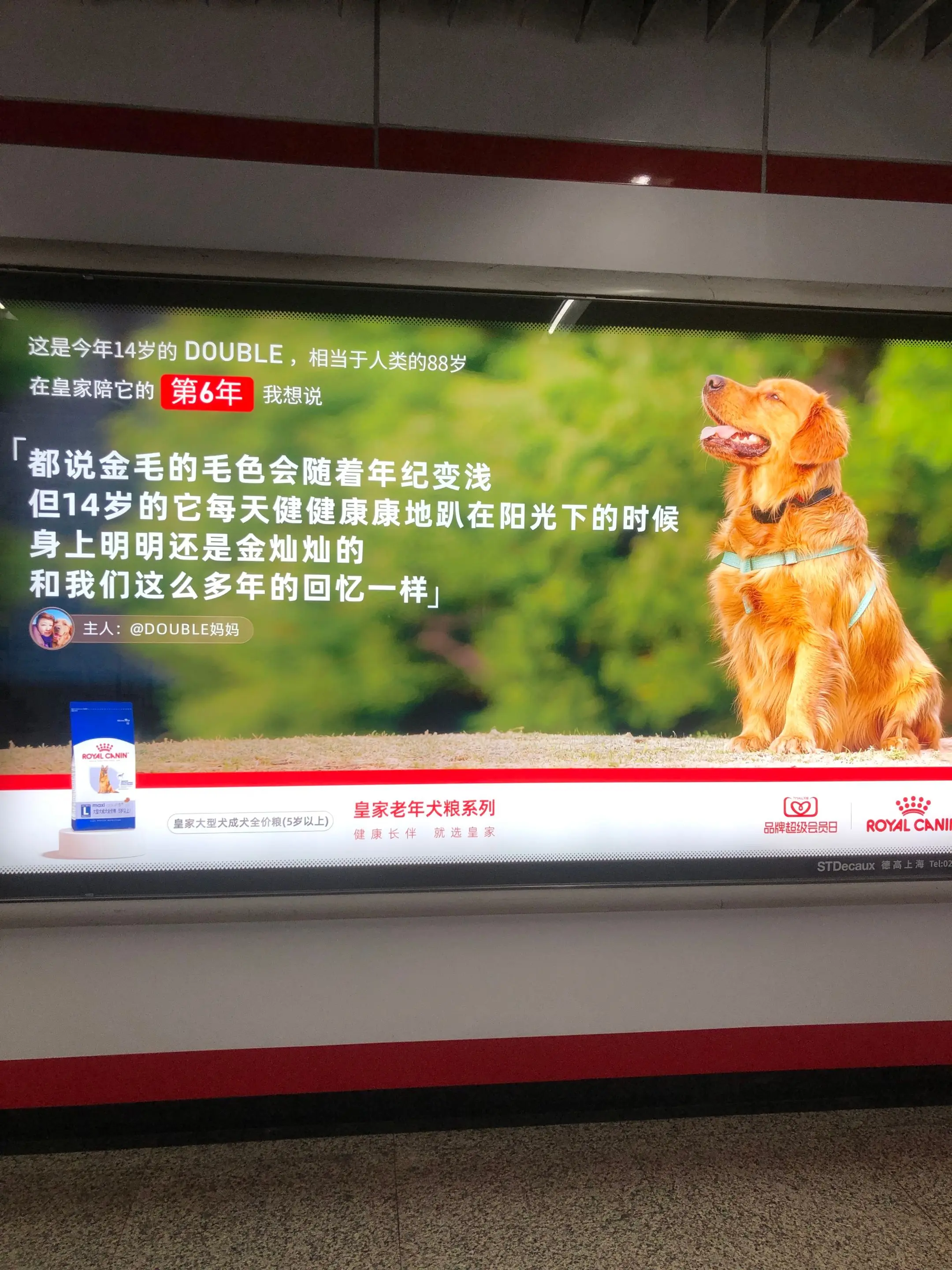 希望全天下的小狗都能健康幸福。今天小狗陪我回市区工作，印象最深的一件事...