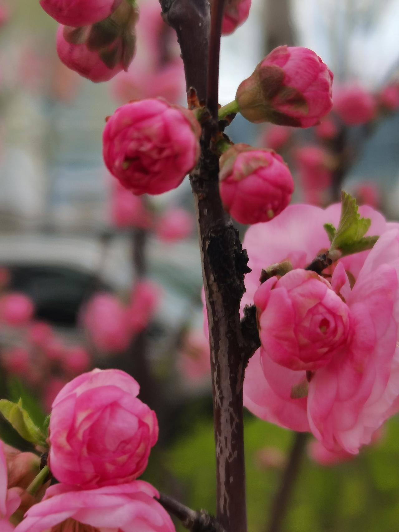 和人交往，你看重的是人品还是金钱和人交往，我看中的是人品，人品好的人值得交往，有