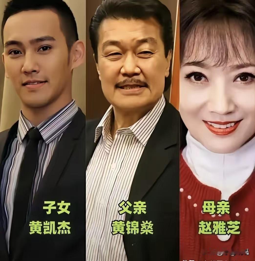 明星一家三口颜值大起底！黄凯杰、车晓、张若昀、陈飞宇，这基因真是祖传的！

先说