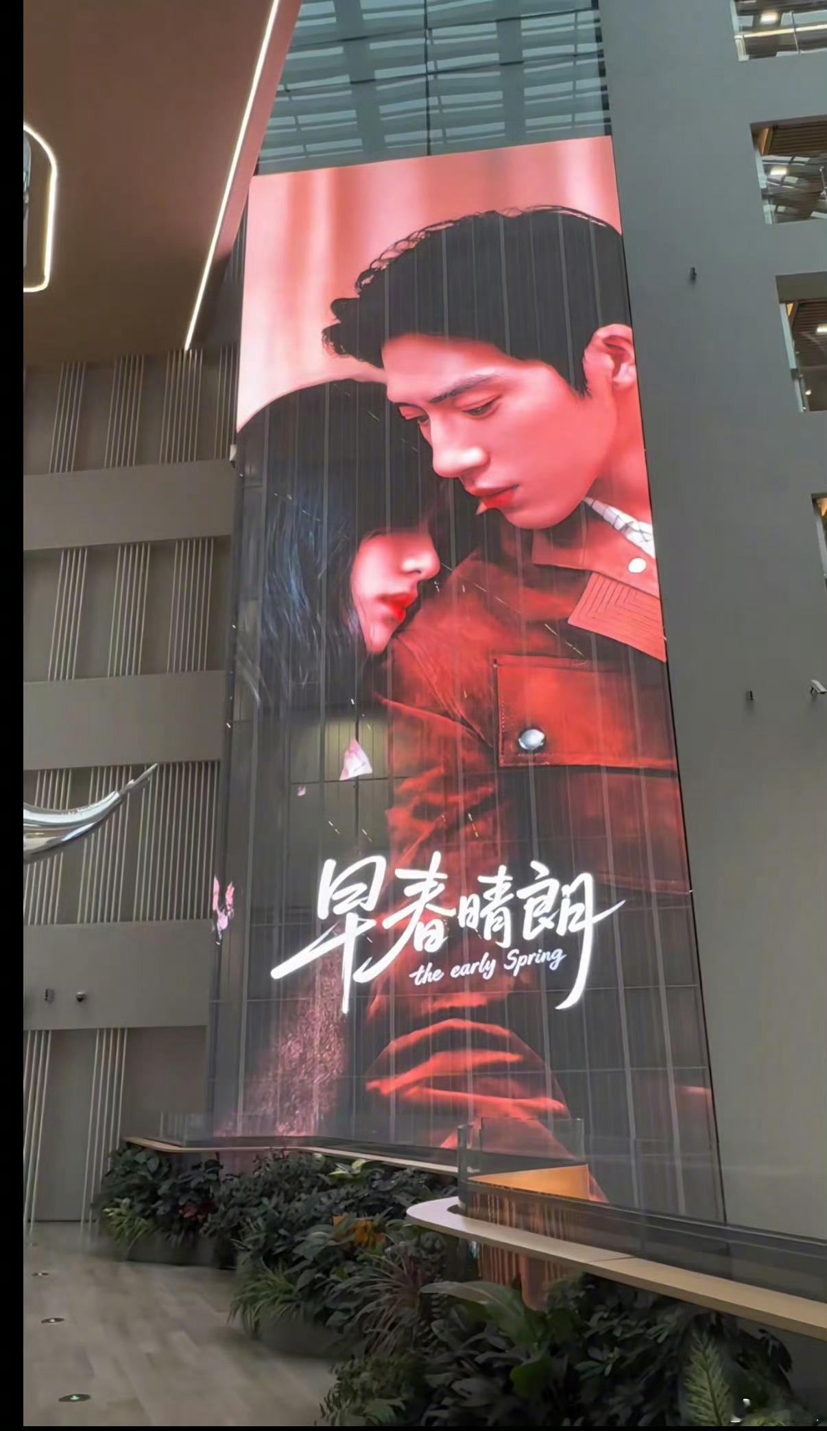 哇塞！《早春晴朗》拿奖了！！还是“精品之光奖”！！我直接原地放鞭炮🧨今年真正的
