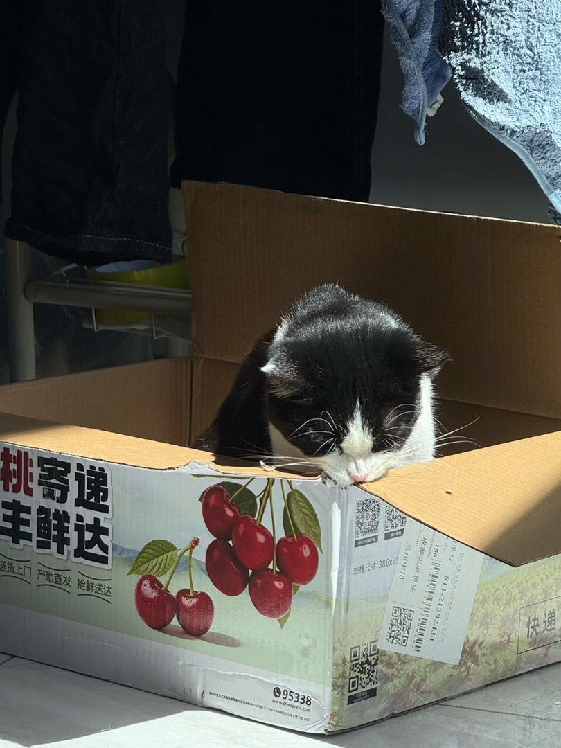 我正搞破坏？那只是您的看法。daily奶牛猫 （投稿：） 