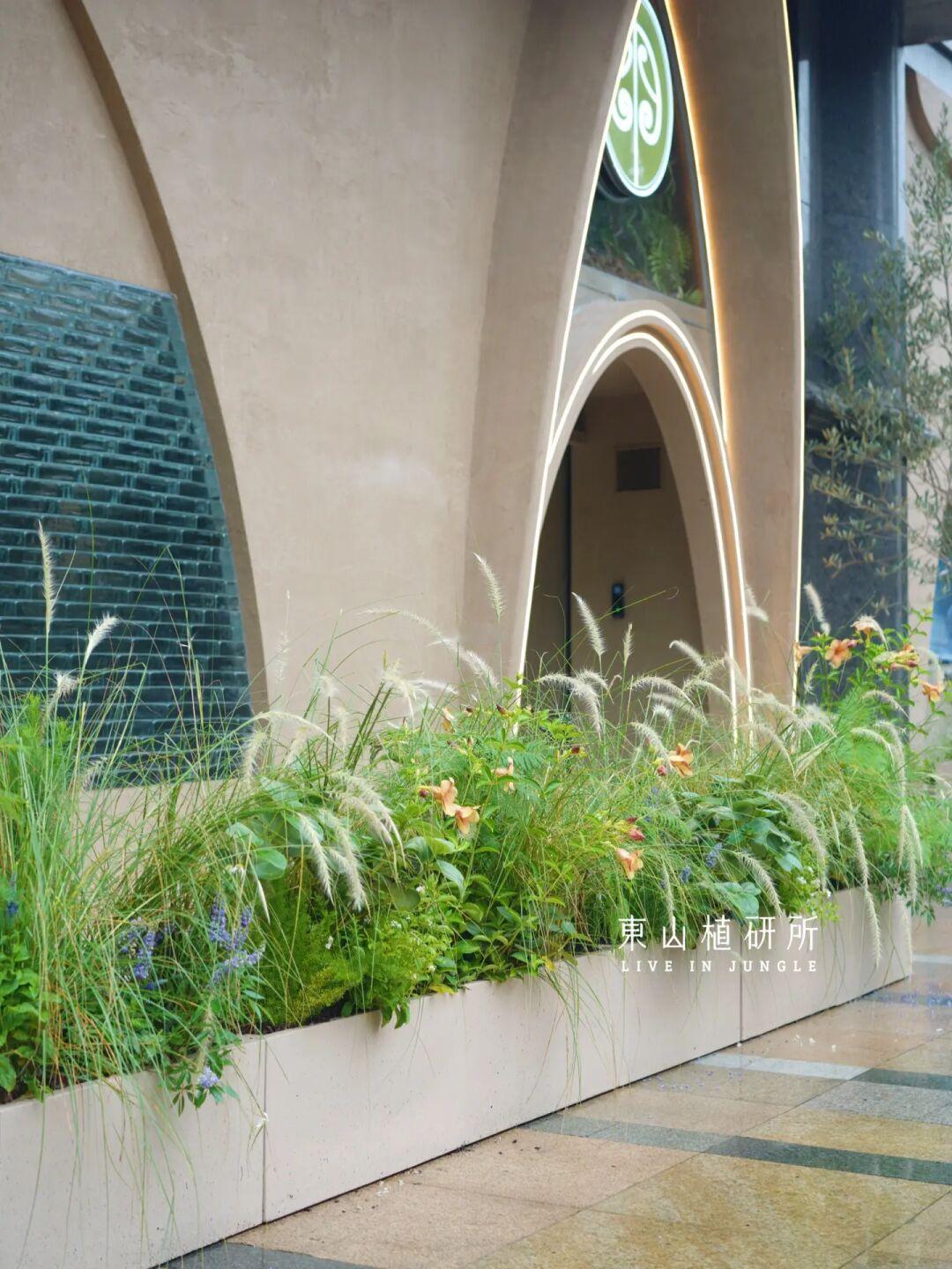 户外花箱｜门头植物布置🪴增添独特氛围