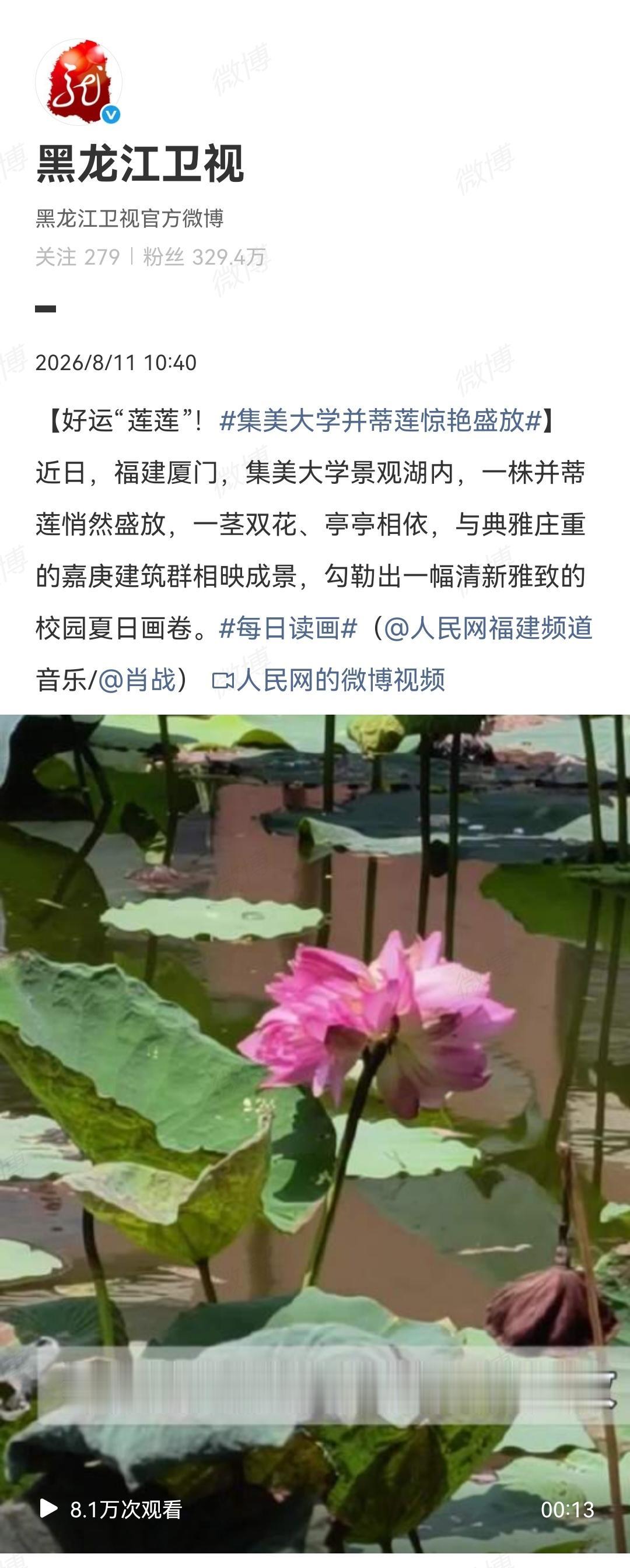 8月11日，黑龙江卫视发了肖战的歌[机智]