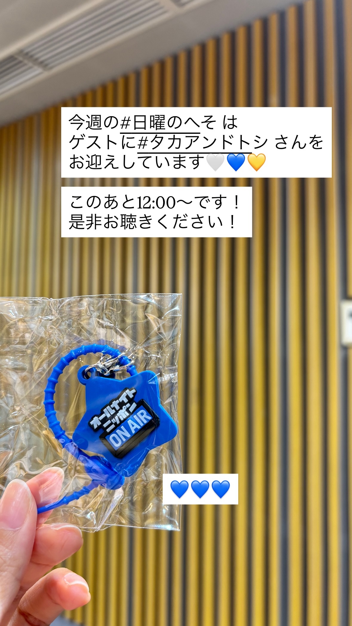 新内眞衣
