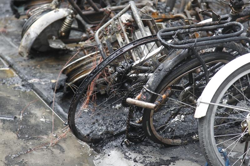 失业这两个月，我把自己活成了一座“孤岛”——不再追赶地铁，却每天追着晨光写稿；没