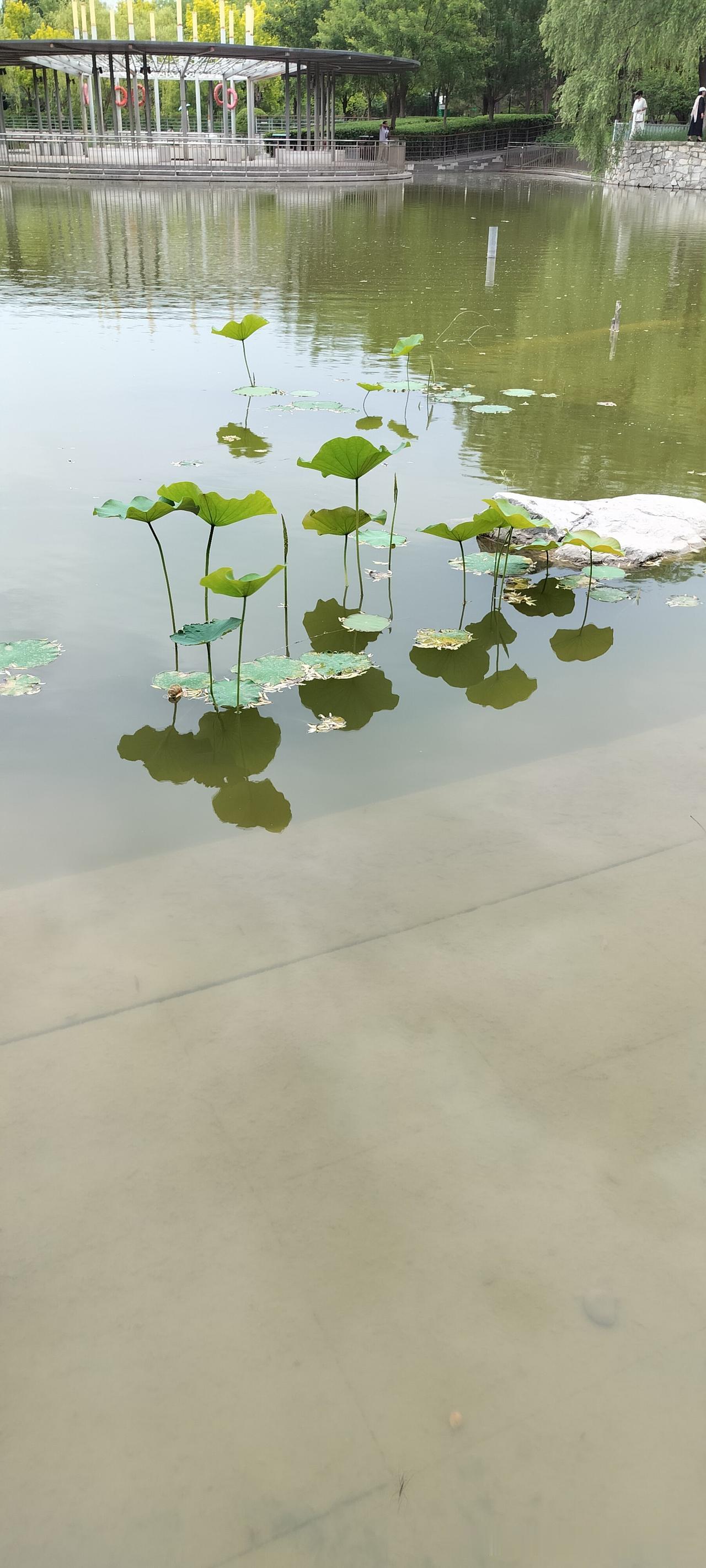 发一张图片，让我猜出你在哪里拍的你猜猜这张图是在哪里拍摄的。