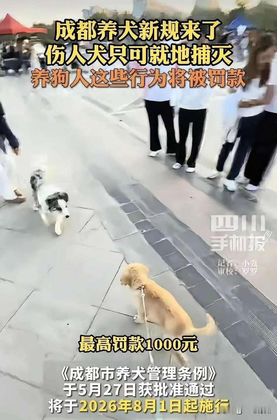 成都的养狗有关规定的条例希望能好好之行下去，也希望进社区、进学校、进公共场合进行