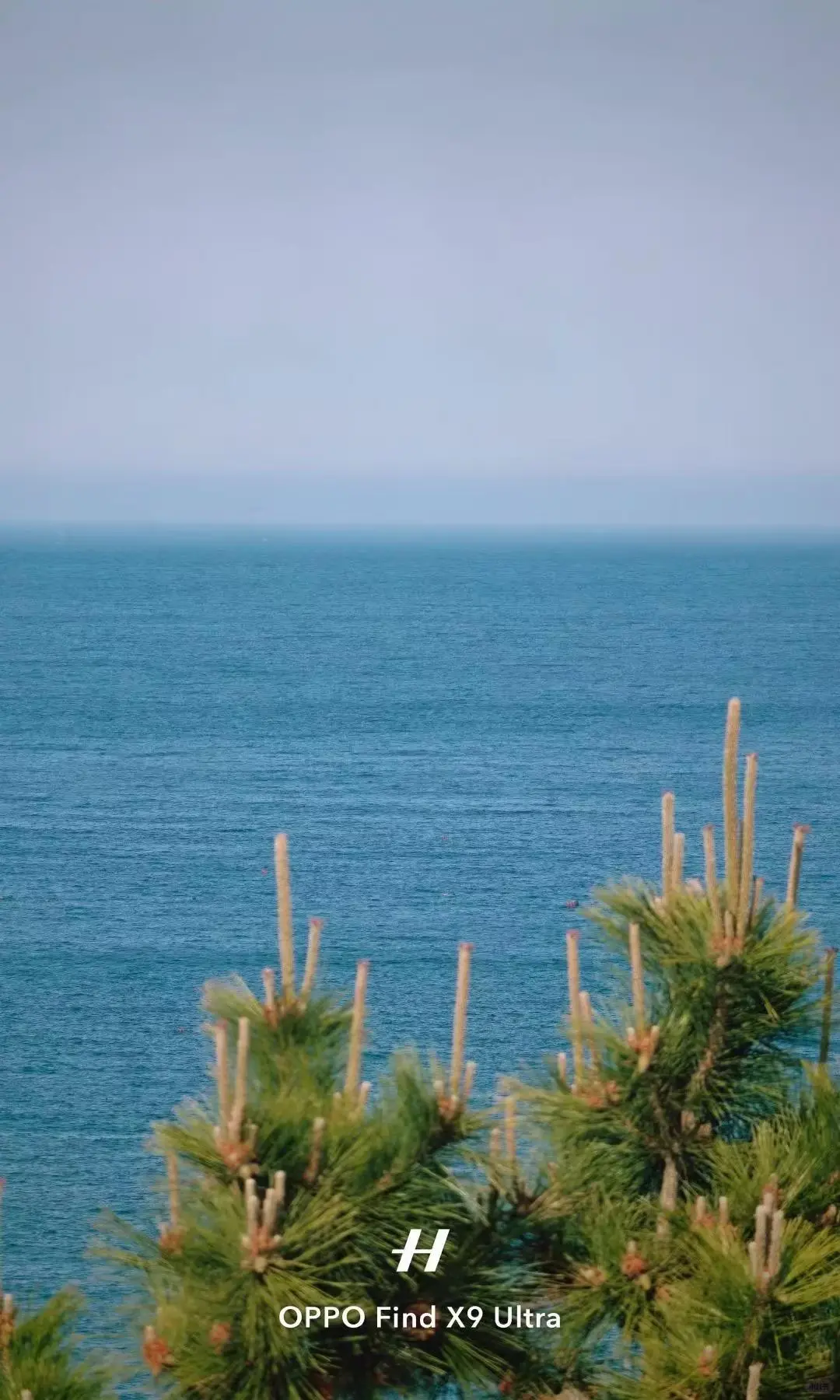 OPPOLive图｜海风里的松弛感🌊