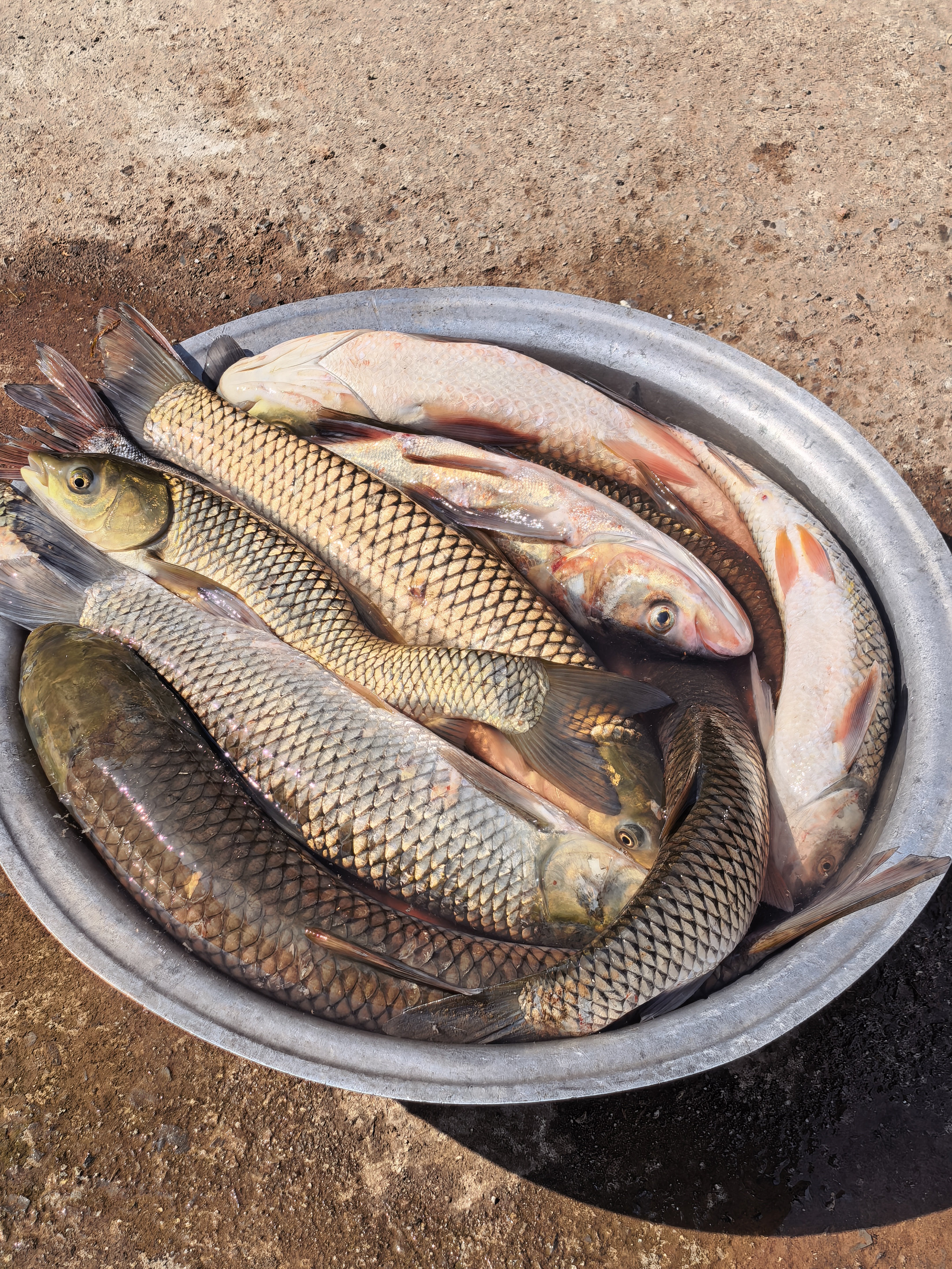 房地产时代的康波远去去谁的康波正在路上居民储蓄在增多国家发债也在增多广义的货币更