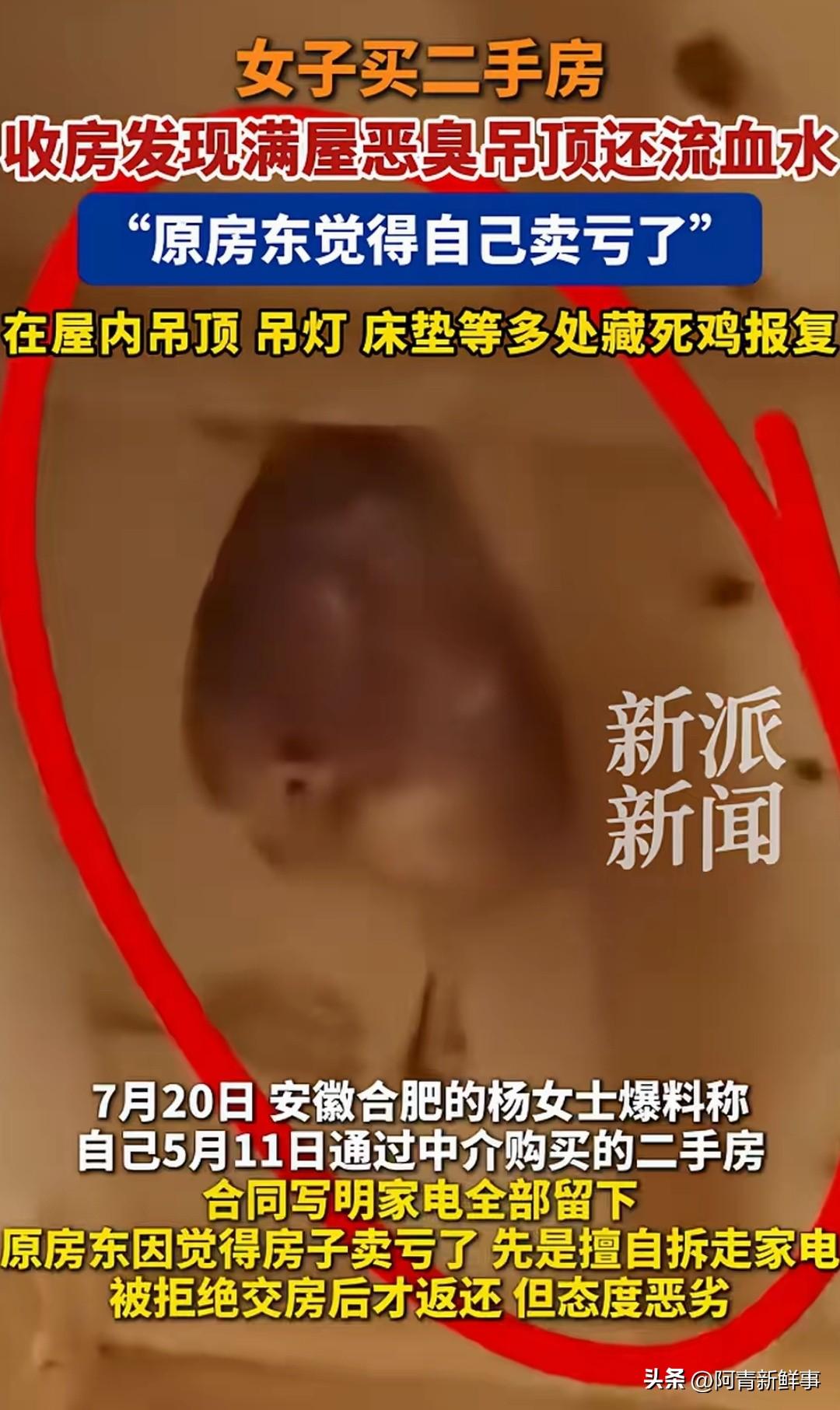 安徽合肥，杨女士花光积蓄买了套二手房，合同白纸黑字写着家电全留。她拿到钥匙推开门