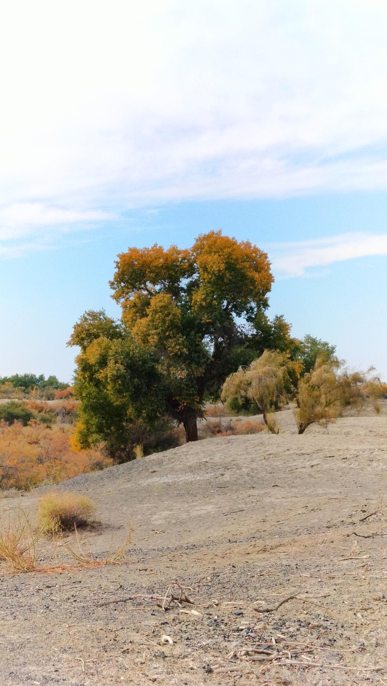 2026最想实现的一件事玩好，吃好，看祖国大美河山[呲牙][呲牙][呲牙][呲牙
