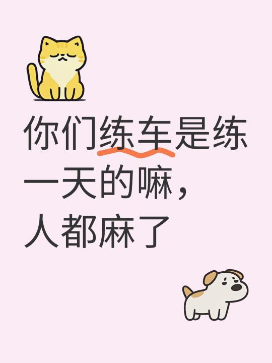 你们练车是练一天的嘛，人都麻了