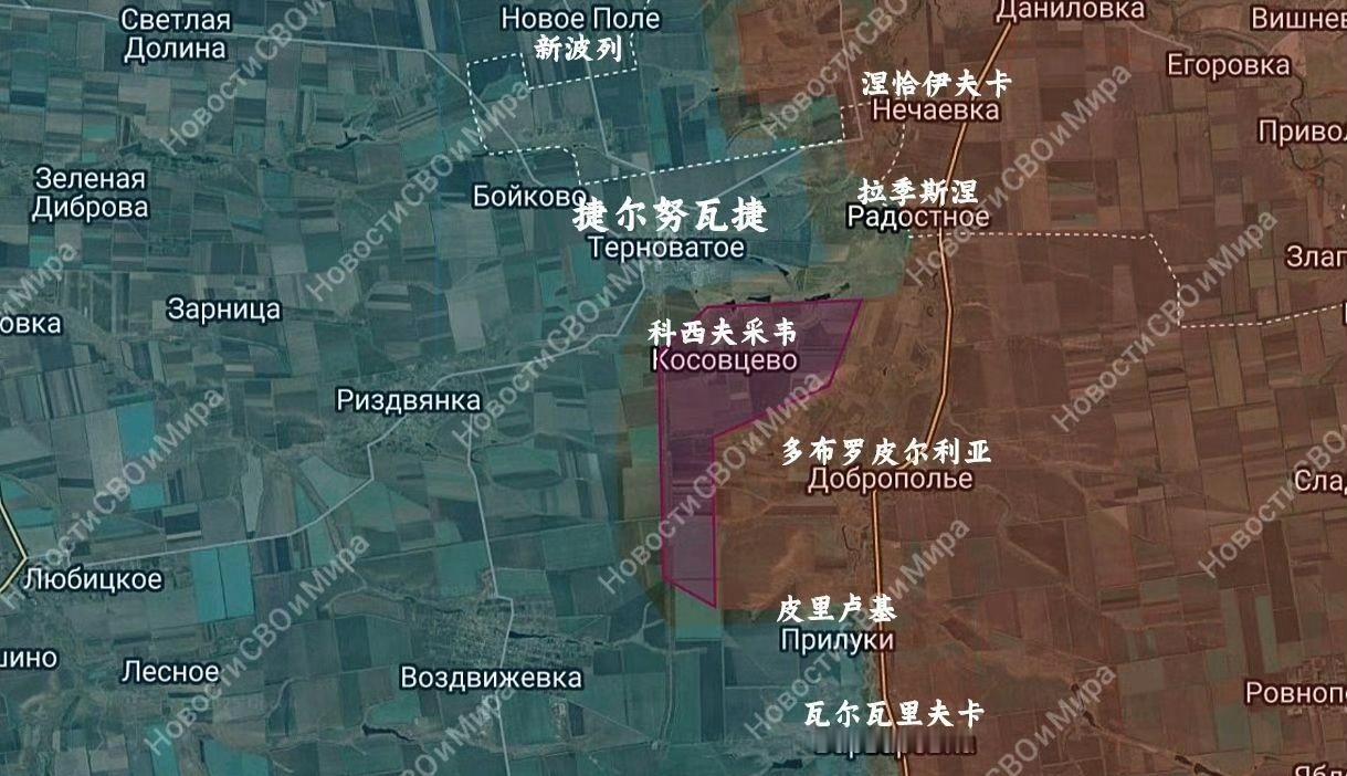 俄军解放科西夫采韦！控制胡里艾伯勒95%！
12月26日，俄军解放了扎波罗热方向