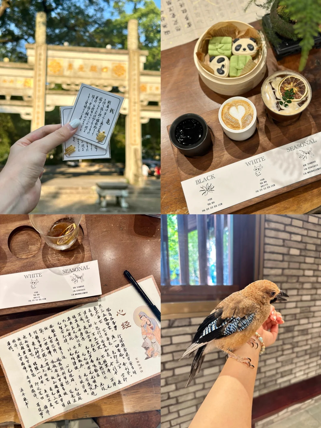 周末充电日☕️浅探一家寺庙旁的咖啡店