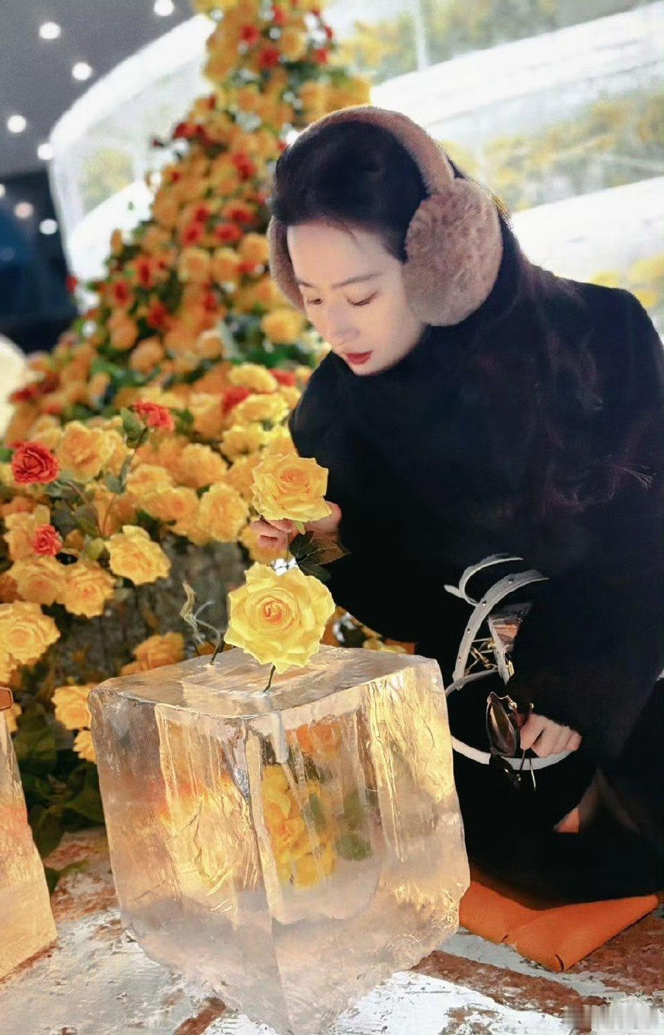 刘亦菲去看冰封黄玫瑰了 谁懂啊？一看到黄玫瑰就梦回玫瑰的故事了，真的好喜欢刘亦菲