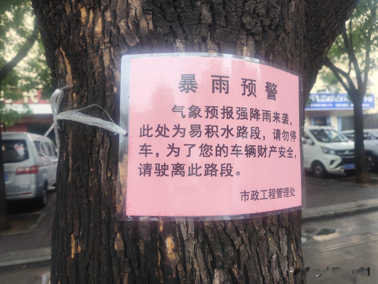 提示工作非常到位……