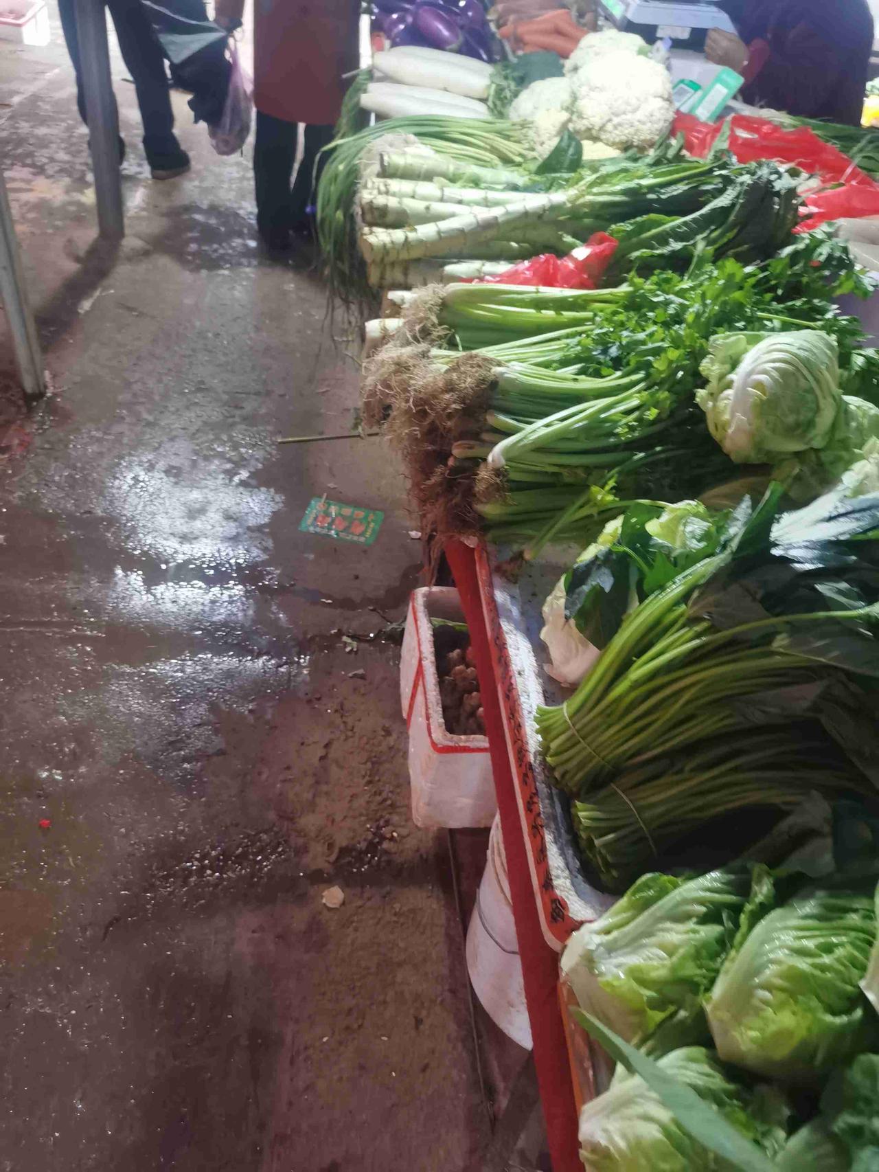 我的今日状态：💪🏻充满干劲
我这里的天气：🌧下雨

命远虽坎坷，但也不服输