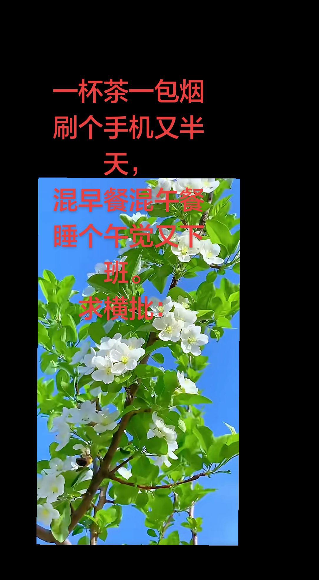 真实生活分享官 上热搜 强烈推荐 原创视频 看过来