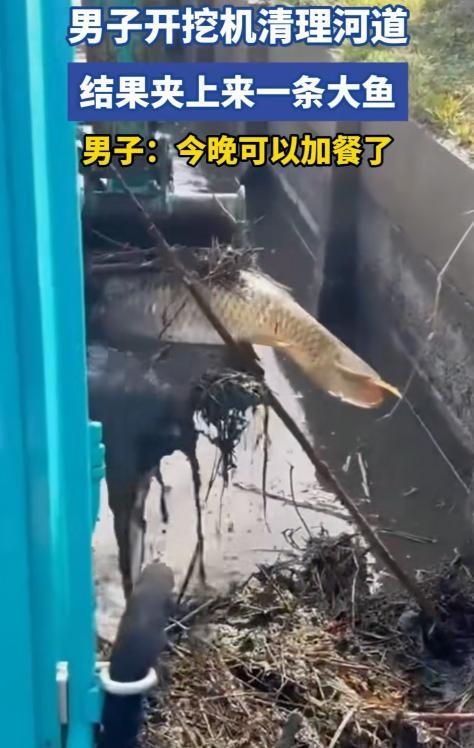 万万没想到！广东，男子开挖掘机清理河道，正捞泥呢，结果捞着捞着，铲斗里突然就滚出